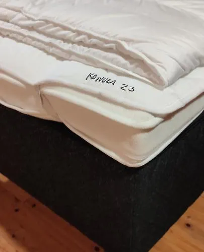 דירה Himos Tomba, Areenan Alue